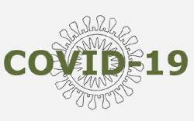 covid-1_2.jpg
