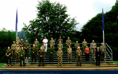 nato_course.png