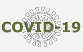 covid-1_2.jpg