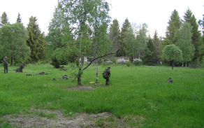 p1010008.jpg